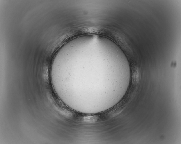 X0000111050700200907091634