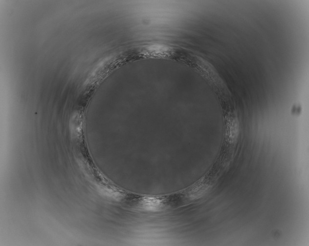 X0000111050701200907091633