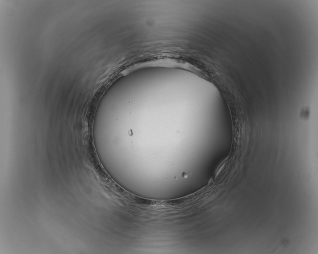 X0000111050704200907091633