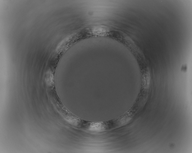 X0000111050705200907091633