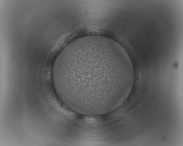 X0000111050706200907091633