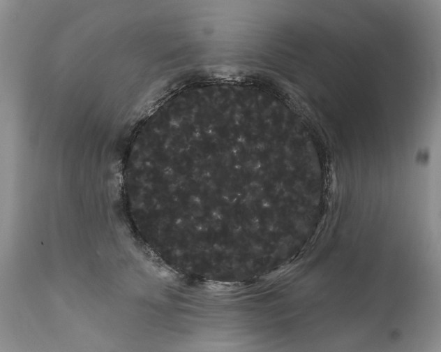 X0000111050707200907091633