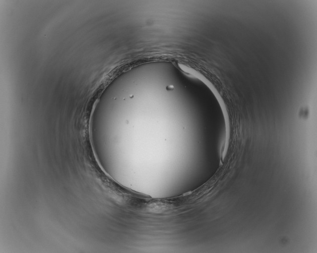 X0000111050708200907091633