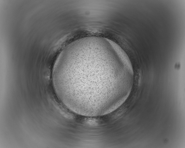 X0000111050710200907091633