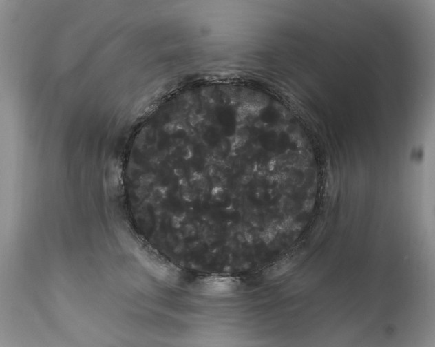 X0000111050711200907091633