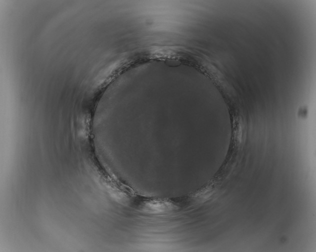 X0000111050712200907091633