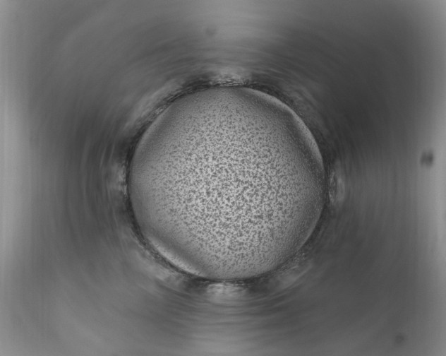 X0000111050714200907091633