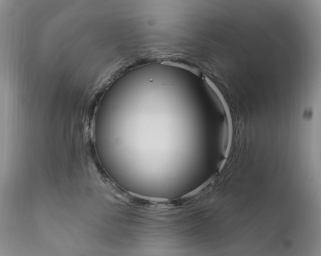 X0000111050716200907091633