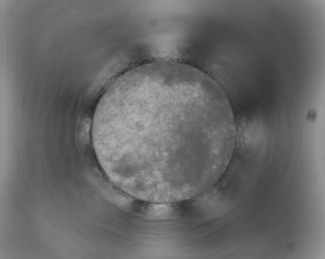 X0000111050717200907091633