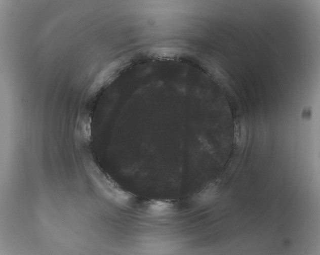 X0000111050718200907091633