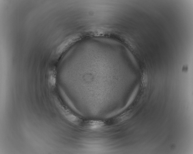 X0000111050719200907091633