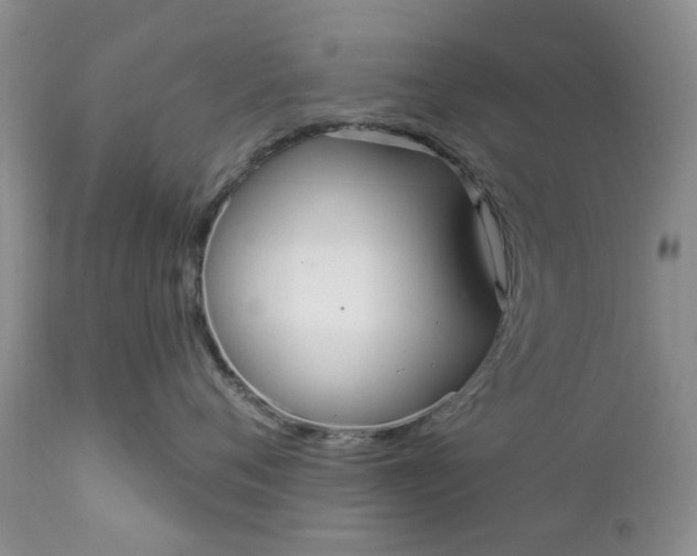 X0000111050720200907091633