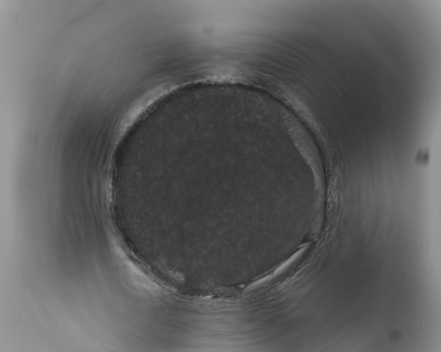 X0000111050722200907091633