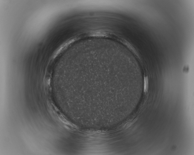 X0000111050723200907091633