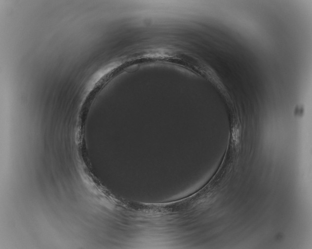 X0000111050724200907091633