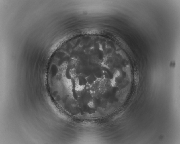 X0000111050725200907091633