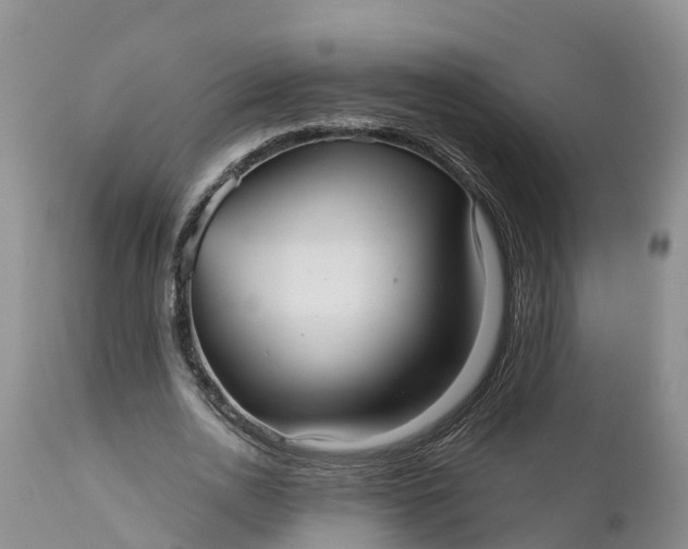 X0000111050726200907091633