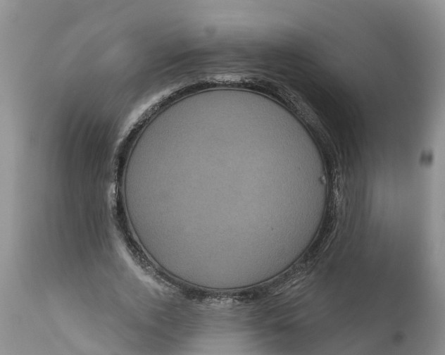 X0000111050728200907091633