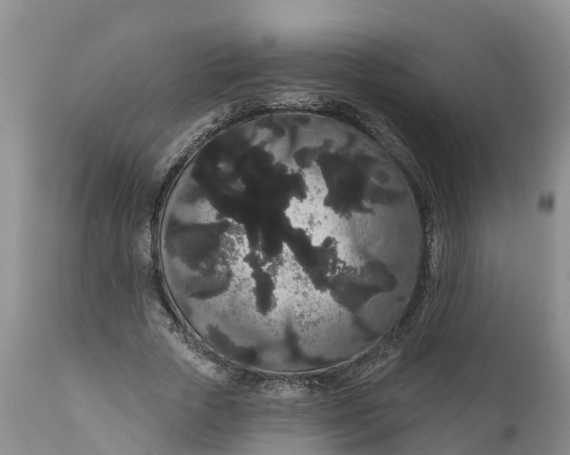 X0000111050729200907091633