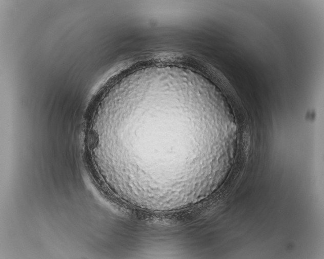 X0000111050730200907091633