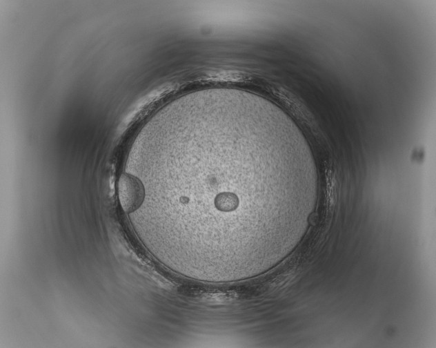 X0000111050731200907091633