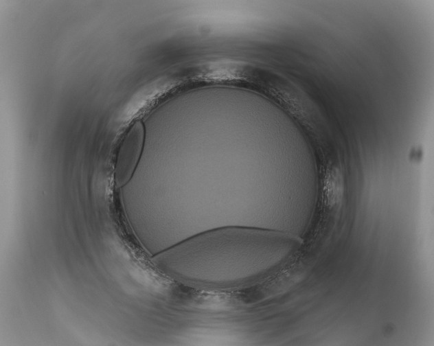 X0000111050732200907091633