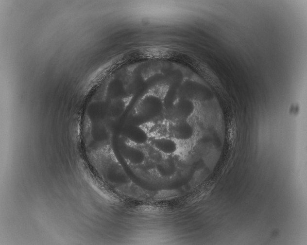 X0000111050733200907091633