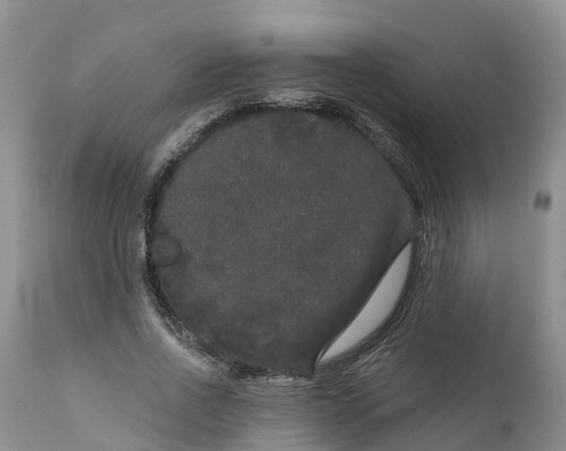 X0000111050734200907091633