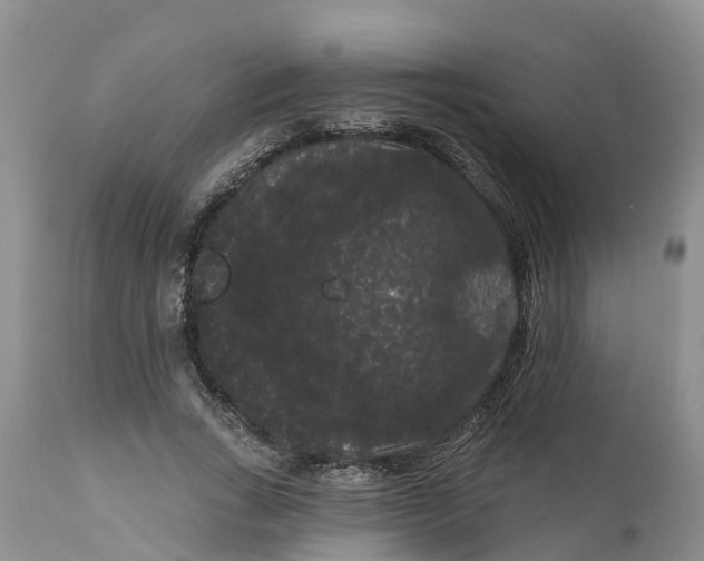 X0000111050735200907091633