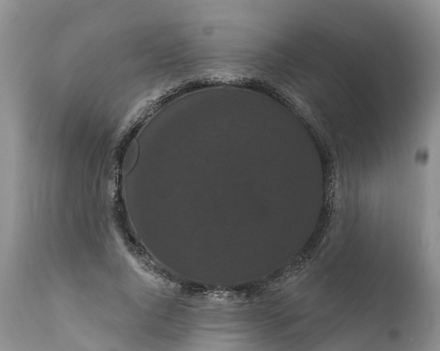 X0000111050736200907091633