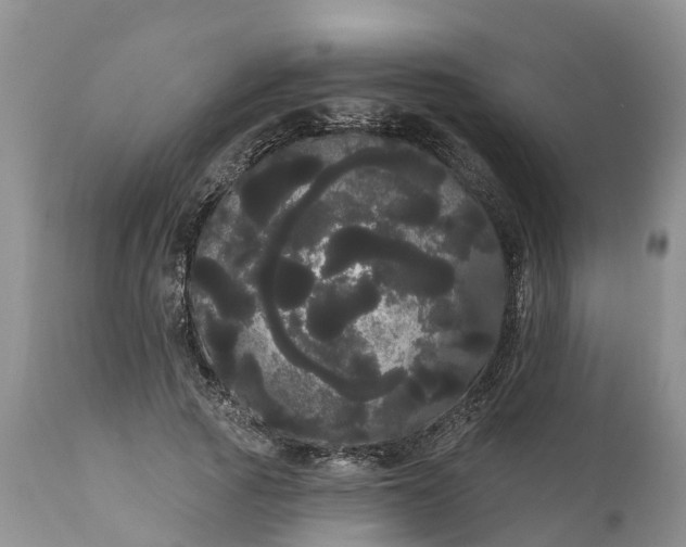 X0000111050737200907091633