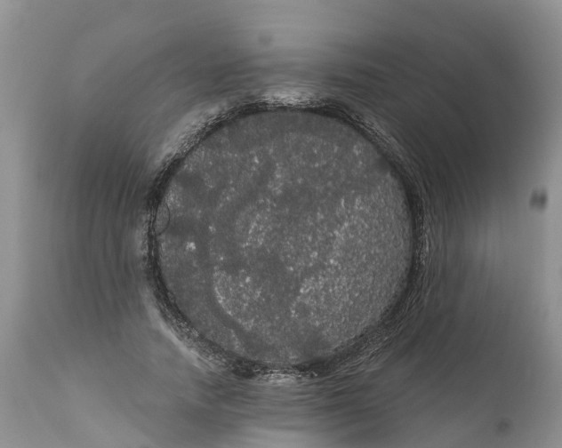 X0000111050738200907091633