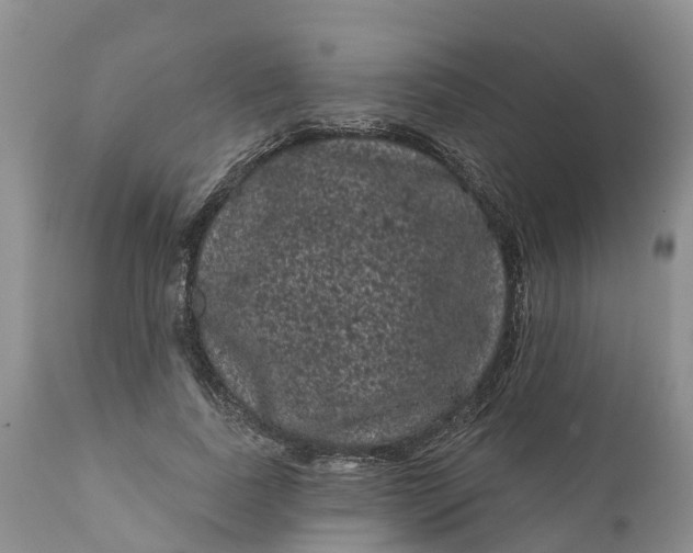 X0000111050739200907091633