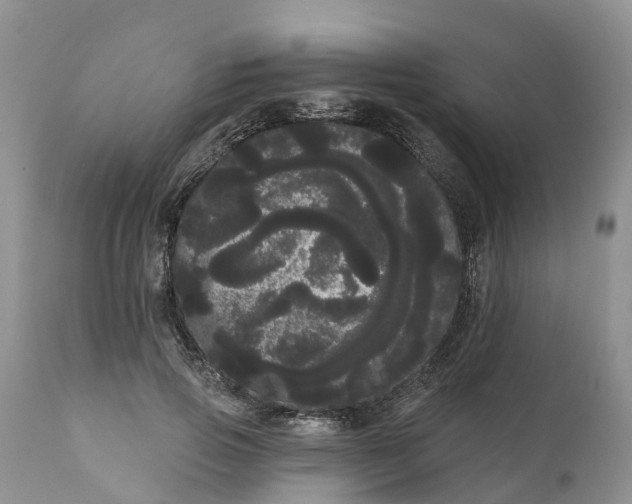 X0000111050741200907091633