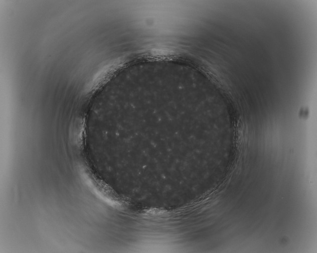 X0000111050742200907091633