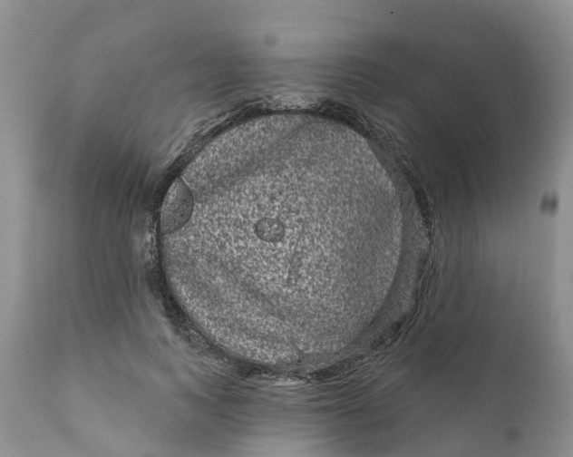 X0000111050743200907091633