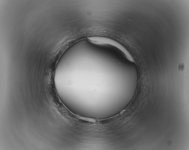 X0000111050744200907091633