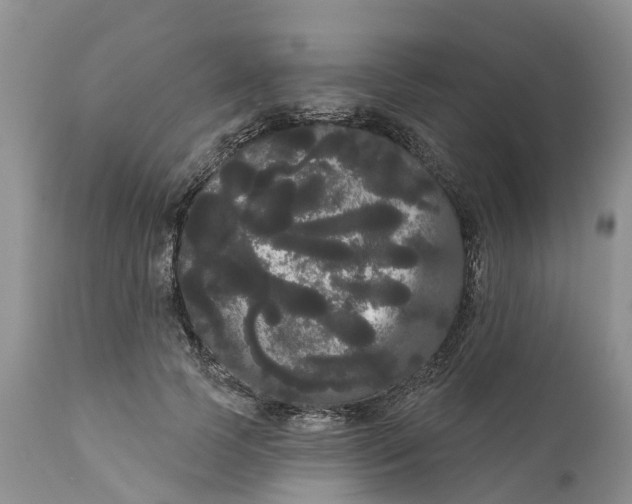 X0000111050745200907091633