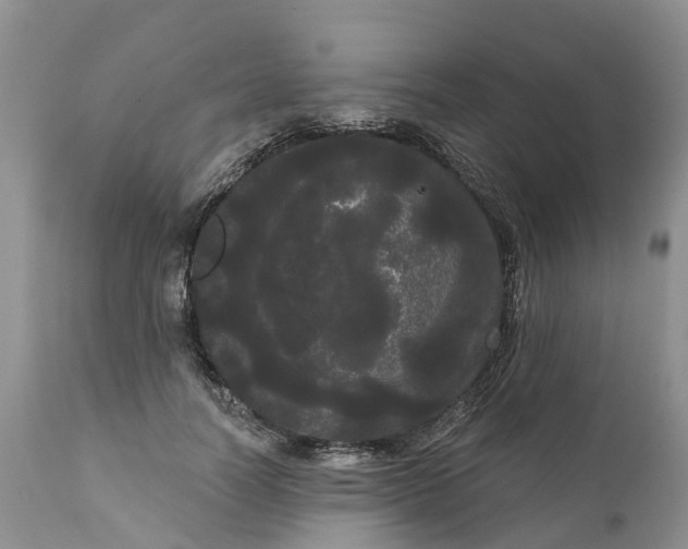 X0000111050746200907091633