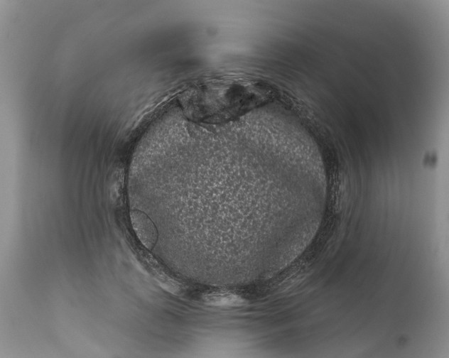 X0000111050747200907091633