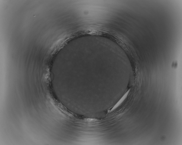 X0000111050748200907091633