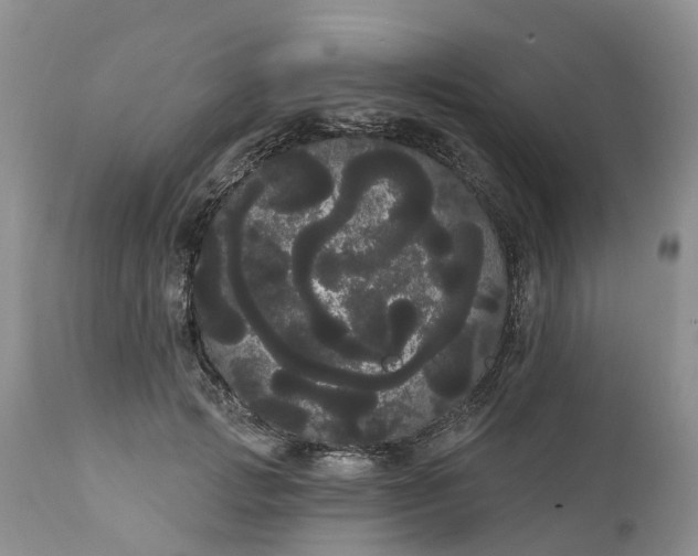 X0000111050749200907091633