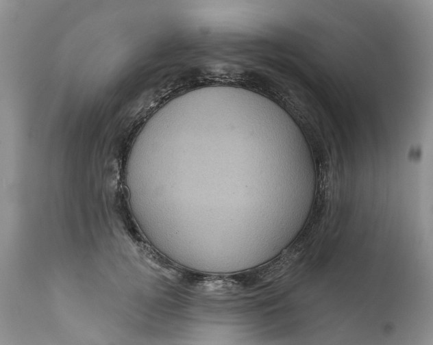 X0000111050752200907091633