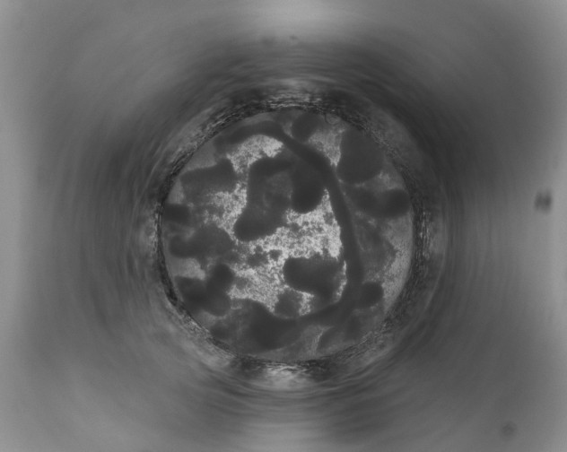 X0000111050753200907091633