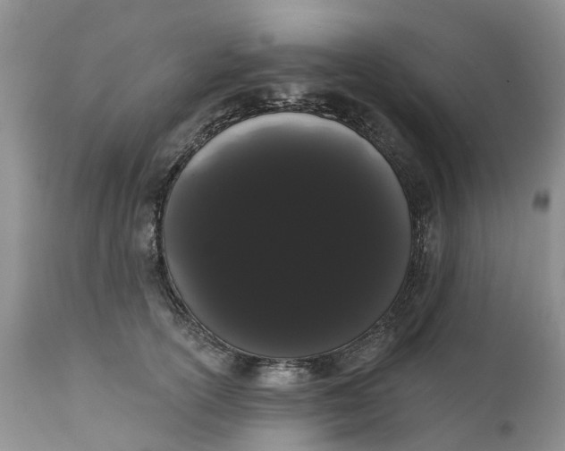 X0000111050754200907091633