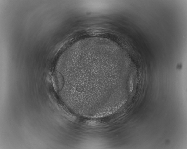 X0000111050755200907091633