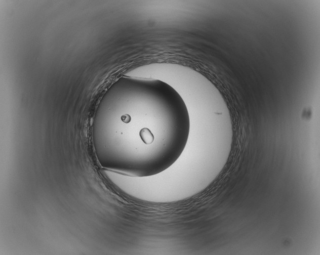 X0000111050756200907091633