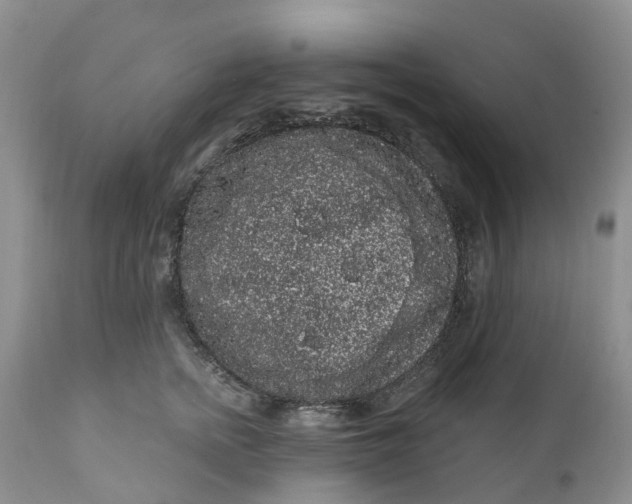 X0000111050758200907091633