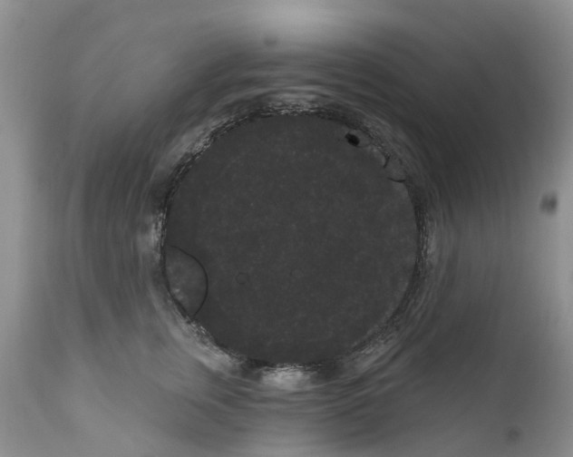 X0000111050759200907091633