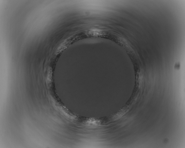 X0000111050760200907091633